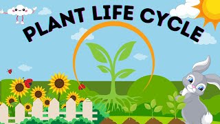 Plant Life Cycle Stages Learning Life Cycle Educational Videos For Kids [upl. by Lyon]