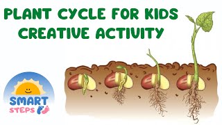 plant cycle Step by step stages of plant plant life cycle plant seed growth [upl. by Gerald]