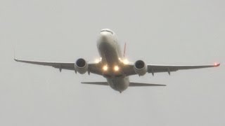 737 wing flex in crosswind [upl. by Anai803]