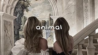 alvaro soler  animal sped up [upl. by Enialedam]