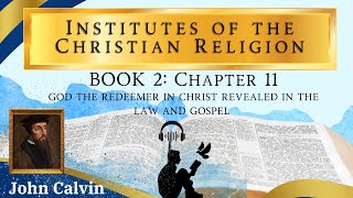 Calvins Institutes InAYear Chapter 11 Difference Of 2 Testaments Vol2 John Calvin Audiobook [upl. by Niasuh]