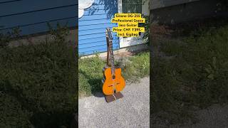 Gitane DG255  Professional Gypsy Jazz Guitar gypsyjazzguitar shippingworldwide guitar [upl. by Ecniv96]