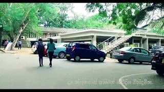 University Anthem  University of Moratuwa [upl. by Nadda111]