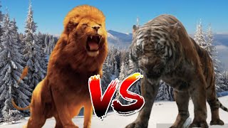 aslan vs shere khan [upl. by Tijnar923]