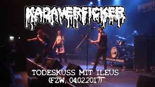 KADAVERFICKER  Todeskuss mit Ileus Live at FZW 04022017  Ansage an Drachenlord [upl. by Derfniw]