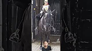 She get bitten bye the horse 😱horse tourist parisfashionweek fashion [upl. by Seana]