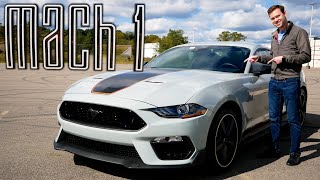 Review 2023 Ford Mustang Mach 1 Manual  Dark Horse Fun For Less [upl. by Amorete]