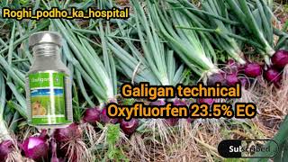 Adama galigan herbicide  Galigan use hindi Oxyfluorfen 235 EC galigan oxyfluorfen [upl. by Marvel159]