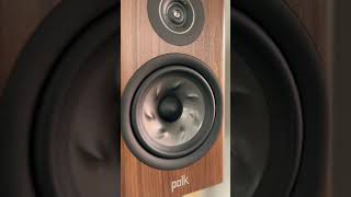 Polk Reserve R200 Review Highlights [upl. by Lucinda5]