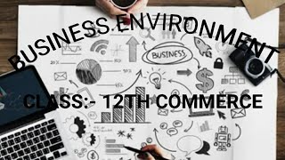 202425 Business Studies Project File Topic Business Environment Class 12 Commerce viralvideo [upl. by Bish]