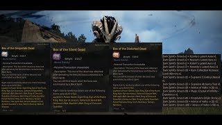 Black Desert  Guide to Dark Rifts [upl. by Harrad911]