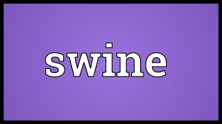 Swine Meaning [upl. by Adella771]