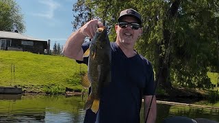 Long Lake Memorial Day Spawn  PB  for Jay Two 4 pound largemouth [upl. by Ailehs]