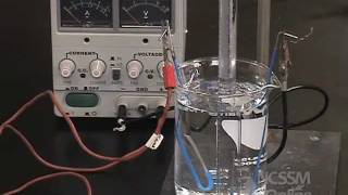 Electrolysis of Aqueous Solutions [upl. by Sewoll]