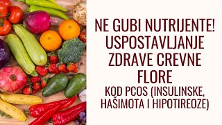 94 Gde gubiš nutrijente sa PCOS hašimotom IR  crevna flora  probiotici i prebiotici u hrani [upl. by Aihsekal994]