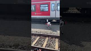 Deutsche Bahn setzt RoboterHund in München gegen Vandalismus ein [upl. by Latsyk]