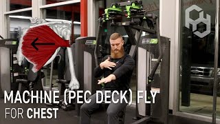 How to Seated Machine Pec Deck Chest Fly [upl. by Ford]