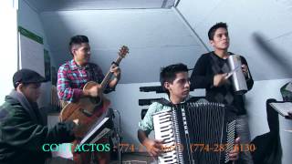 Musica acordeon Ecuatoriana 2015  Polivio Mayancela [upl. by Llezniuq]