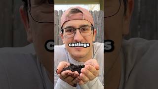 What Makes Earthworm Castings So Beneficial shorts [upl. by Ode286]