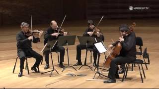 Franz Schubert String Quintet in C Major D 956 [upl. by Nets441]