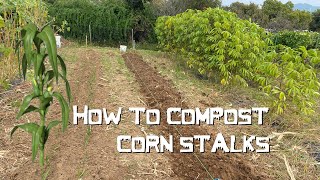 How To Compost Corn Stalks [upl. by Worra]