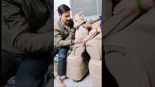 apne dog ko dwaai pilane ka nya tarika🐕😂 😂😂😂😂😂😂streetdog doglover cute funny [upl. by Bevon]