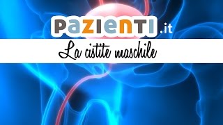 Che cosè la cistite maschile [upl. by Arretahs]