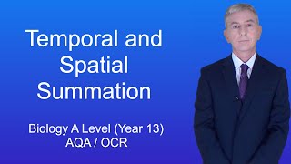 A Level Biology Revision Year 13 quotTemporal and Spatial Summationquot [upl. by Mayrim]