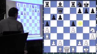 Carlsen vs Anand Game 2  WCC 2014  GM Yasser Seirawan  20150226 [upl. by Kimon]