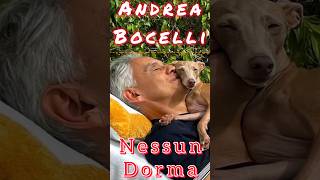 Andrea Bocelli sings quotNessun Dormaquot [upl. by Siblee66]