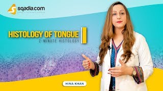 Histology of Tongue  Anatomy Video Lectures  Medical Education  VLearning [upl. by Slin]