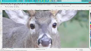 Corel Draw Tips amp Tricks PhotoGrav Part 4 [upl. by Ttennaj669]