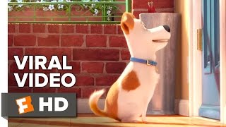 The Secret Life of Pets 2  The Snowball Trailer [upl. by Francois]