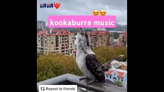 kookaburra music [upl. by Baese]