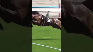 horse horseplay horsesports sporthorses equestrian horseracing horseshow edit [upl. by Bina586]