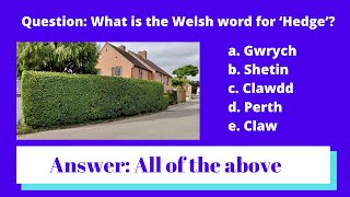 Why does the Welsh language use 5 different words for the same thing [upl. by Iphigenia]