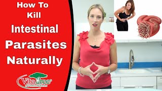 Tips How to Kill Parasites from the Body  VitaLife Show  Ep 167 [upl. by Tips]