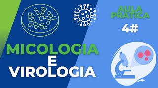 Micologia e Virologia  AULA PRÁTICA 4 [upl. by Salokkin]