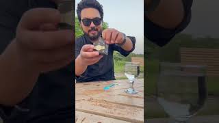 How to take Shilajit foryou shilajitbenefits mashabrumshilajit himalayan fyp [upl. by Mufinella]