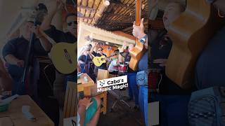 MindBlowing Version Of Oye Como Va in Cabo🎸🎸🎸 [upl. by Jarv]