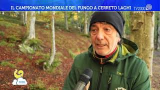 Il campionato mondiale del fungo a Cerreto Laghi [upl. by Sacrod]