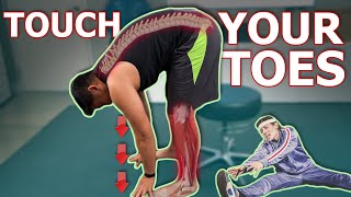 How To Touch Your Toes In 4 MINUTES  Physical Therapist [upl. by Enyalaj]