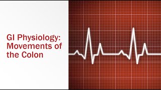 GI Physiology Movements of the Colon [upl. by Addison922]