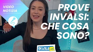 Prove Invalsi che cosa sono [upl. by Ahsatam]