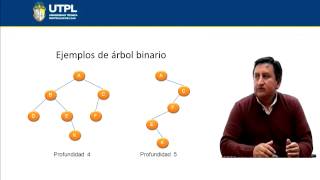 UTPL ÁRBOLES INFORMÁTICAESTRUCTURA DE DATOS [upl. by Mila]