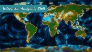 How Influenza Pandemics Occur [upl. by Annabela980]