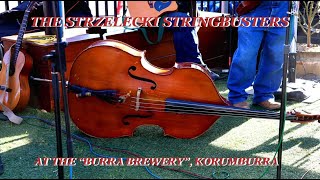 The Strzelecki Stringbusters in Korumburra [upl. by Hairahcaz]