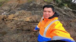 Tara Fishing  Kawakawa Bay Nz  Bloody Eels [upl. by Yatnwahs]