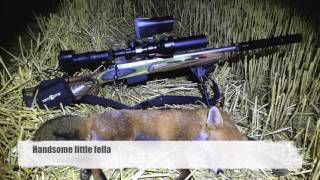 Fox amp Rabbit Shooting UK September 2016 NiteSite RTek Wolf RAM Vermin Control [upl. by Anilac338]