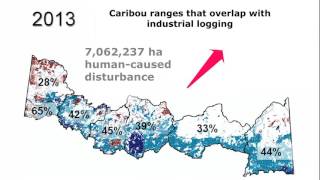 Cumulative woodland caribou habitat disturbance increase in Ontario 20112015 [upl. by Gavan]